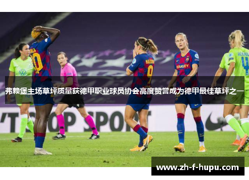 弗赖堡主场草坪质量获德甲职业球员协会高度赞誉成为德甲最佳草坪之一